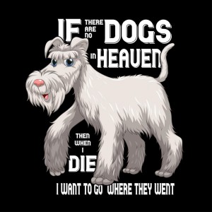 Vector Art Conversion