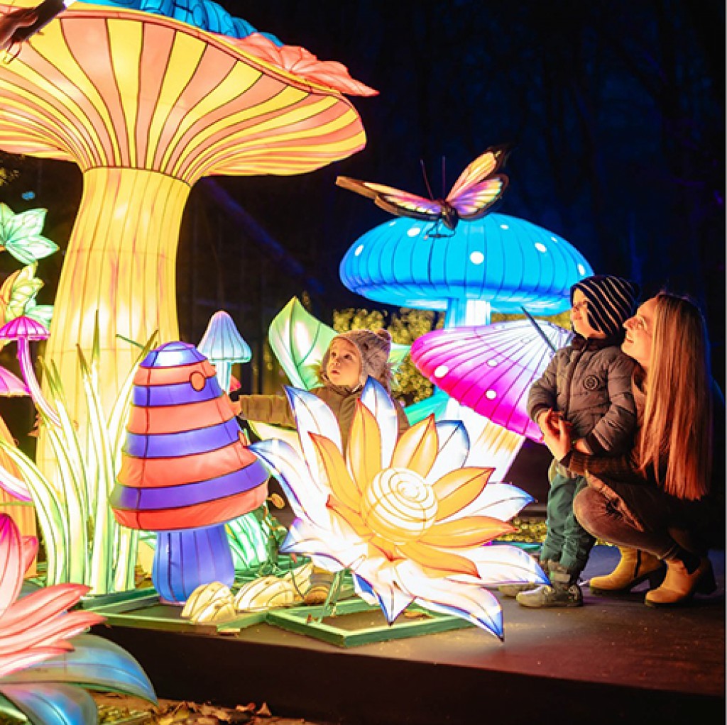 AUBERGE 22SS別注 GARDEN LIGHT Auberge