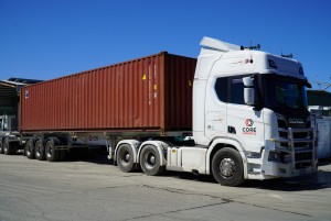 SKEL40 01 2MB scaled