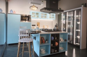 Small modular kitchen design