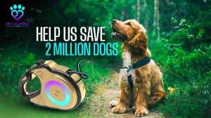 Help Us Save 2 million Pets a Year
