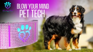  Pet Madness Leash on Charging Stand