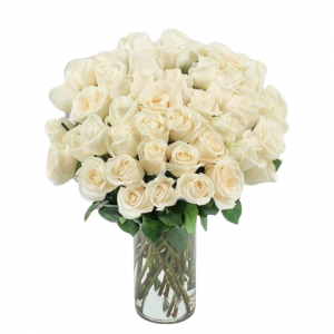 Angelic White Roses