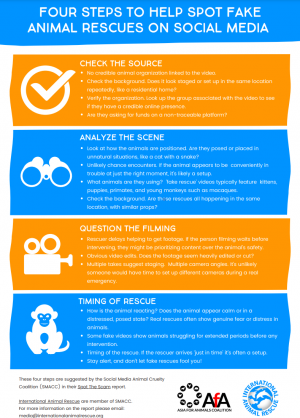 International Animal Rescue & SMACC