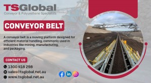 Conveyor belt