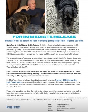 Flyer for stolen dog Lucky