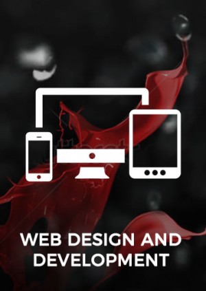 web DESIGN Cork Dublin