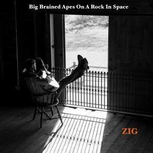 Zig Album Cover Credit: Joann Arruda