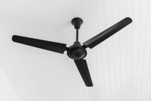 Ceiling fan installation Brighton