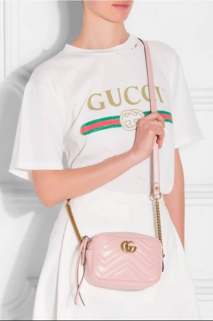 Gucci bag 1