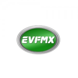 Jiangsu FMX Electric Vehicle Co Ltd