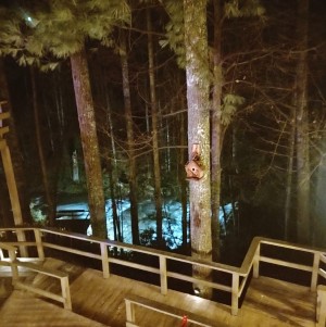 Cascades Night Deck