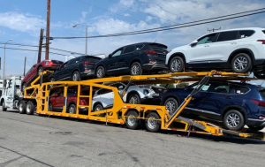 Vehicle Shipping Company