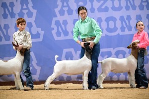 78th Annual Arizona National Livestock Show