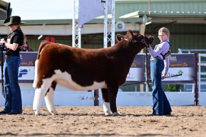 78th Annual Arizona National Livestock Show
