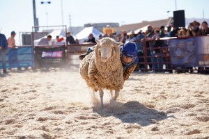 78th Annual Arizona National Livestock Show