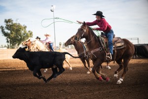 78th Annual Arizona National Livestock Show