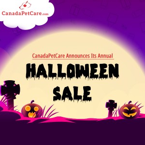 Enjoy Up to $50 Discount Everything