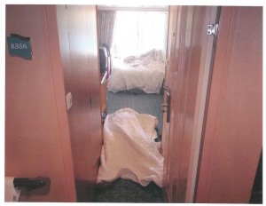 Briana Martins v Royal Caribbean