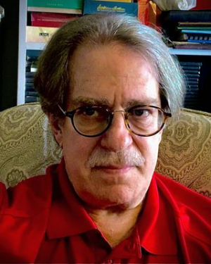 David Brand, Ph.D.: Psychologist Bringing Decades of Experience to Park Slope, Brooklyn