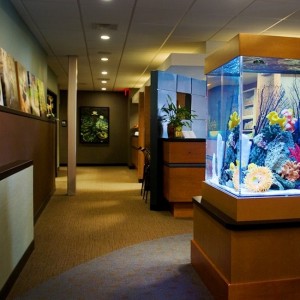 Acquarium in the hallway at ABC Dentistry Orthodontics Schaumburg IL 60195