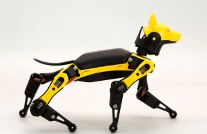 Robot Dogs