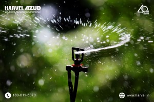 srinkler irrifation system