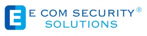 E Com Security Solutions SOC 2 Attestation Services aiding Organisations to Ascend Greater Success