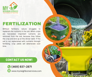 My Neighbor Services Offers Expert Lawn Care and Tree Services Across Texas