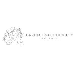 Carina Esthetics LLC is INACTIVE not dissolved 