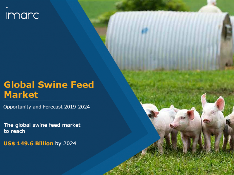 Global Swine Feed Market to Reach US 1496 Billion by 2024 Global Swine Feed Market to Reach US 1496 Billion by 2024