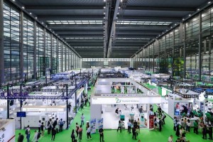 photo 2024 11 03 17 37 42