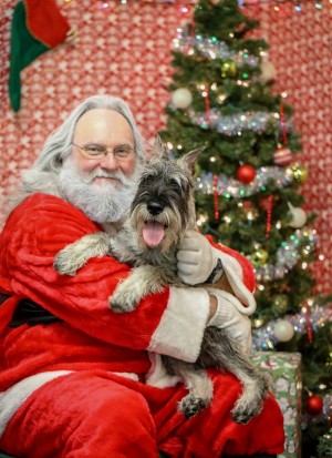 Roman visiting Santa and being such a Good Boy