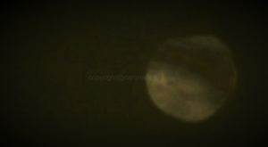 the soft grey non metallic craft  behind trees  tilted on its side