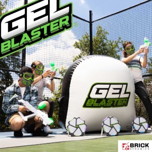 Brick Dynamics Social