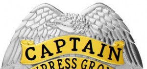 Owl Badges - Custom Badges With Police Ranks Captain