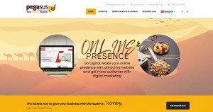 website development company in udaipur