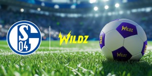 1000x500 FC SCHALKE 04 banner