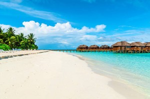 maldive Toor Package