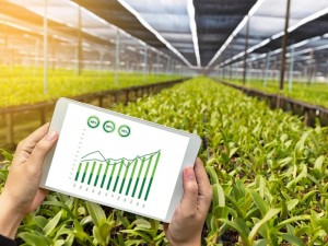 Expert Agriculture Software Developer