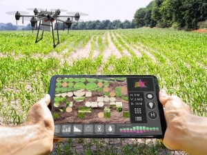 Farm Management Solution