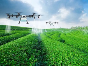 Precision Agriculture Solution