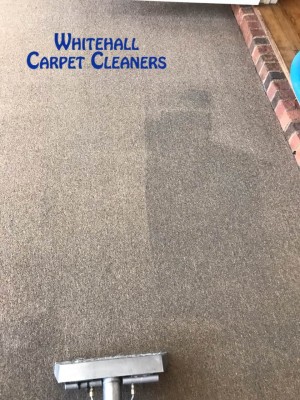 Before and after carpet clean 1