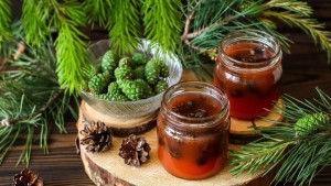 Pine Cones Jam Preserves with Baby Pine Cones by Samsonov and Partners Now Available at Walmart
