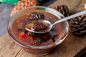 Pine Cones Jam Preserves with Baby Pine Cones by Samsonov and Partners Now Available at Walmart