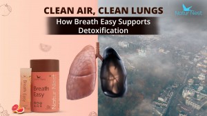 Clean Air, Clean Lungs: How Breath Easy Supports Detoxification