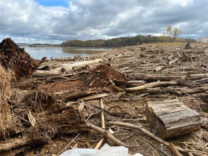 Shorelines at TWRA boat launch