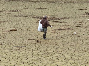 Walters Bridge Clean UP walking the mud flats