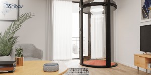 Alexa Integration Ai-Driven Home Lifts