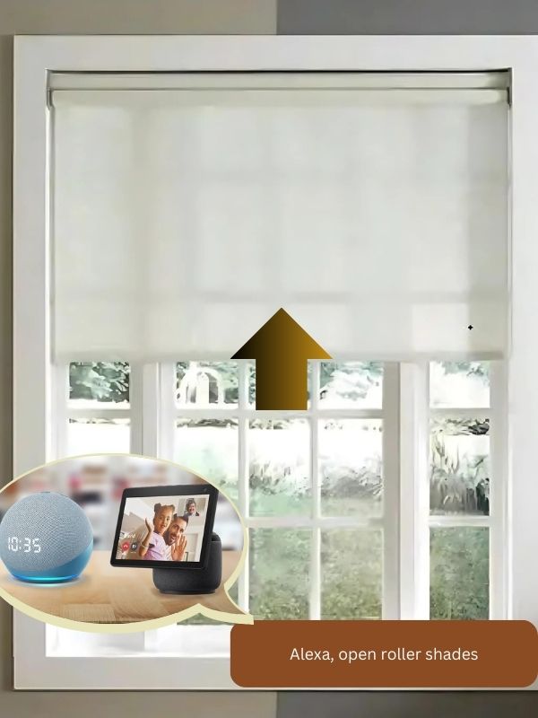 Smart Blinds is the the One Upgrade Every Modern Home Needs!